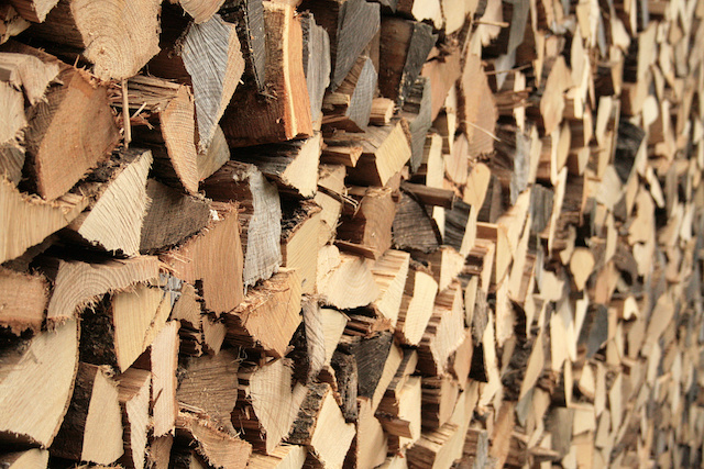 Brennholz richtig lagern und trocknen