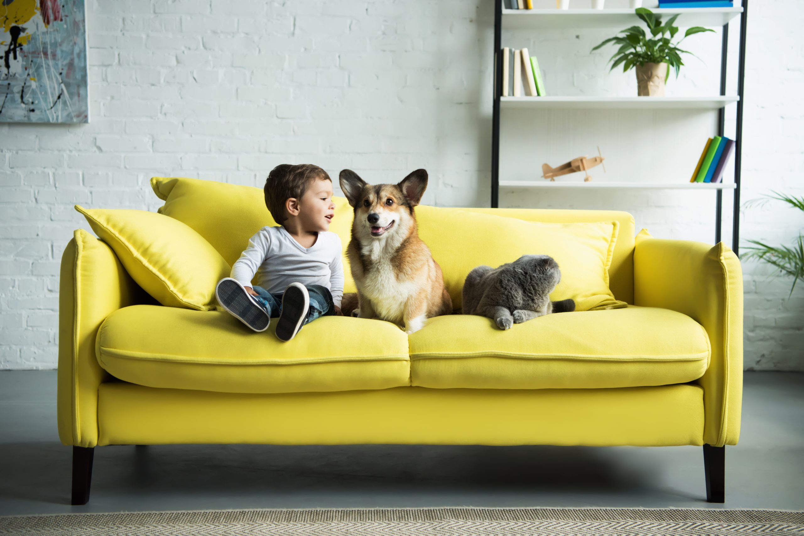 Ein Sofa nach Maß bietet viele Vorteile. Foto LightFieldStudios via Envato