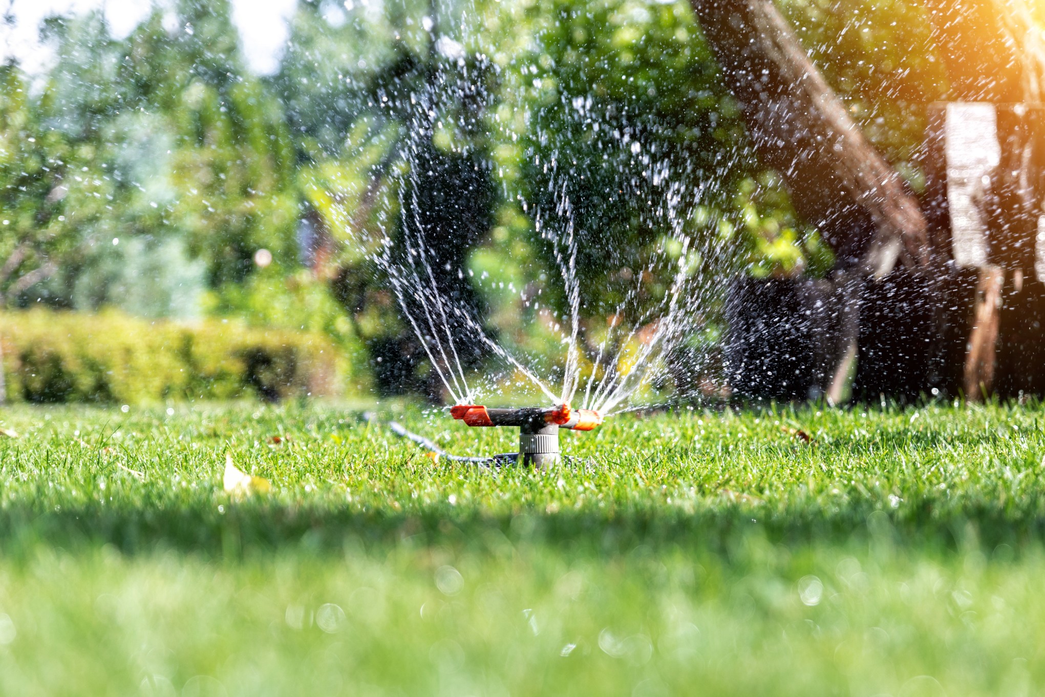 Eine Bewässerungsanlage für den Garten spart Zeit und Kosten. Foto gorlovkv via Twenty20