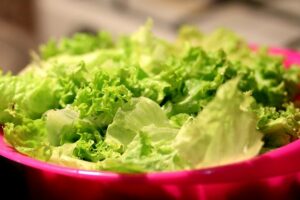 Salat ist gesund und lecker